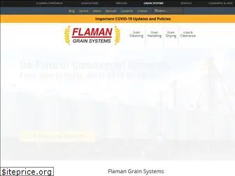 flamangrainsystems.com