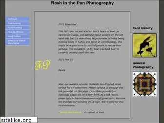 flashinthepanphotos.com