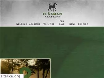 flaxman.nl