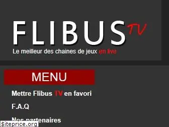 flibus.com