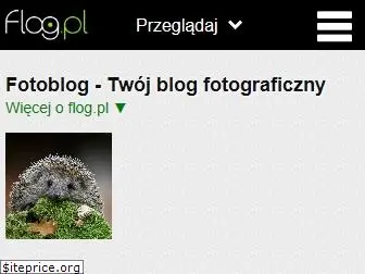 flog.pl