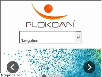 flokcan.com