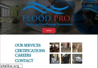 floodprollc.com