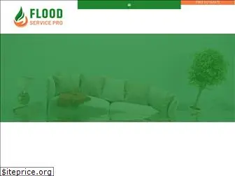 floodservicepro.com