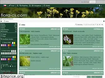 flora-cs.com