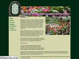 florabundatx.com