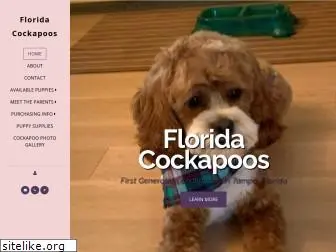 floridacockapoos.com