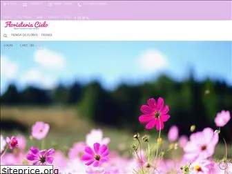 floristeriacielo.com