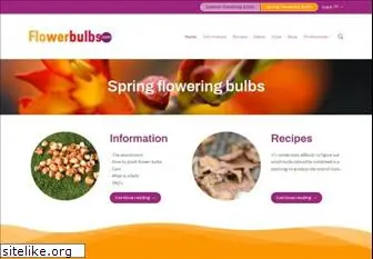 flowerbulbs.co.uk