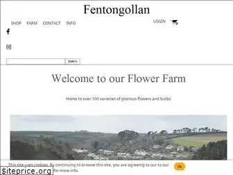 flowerfarm.co.uk