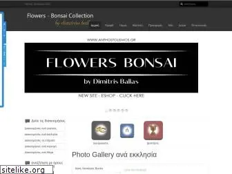 flowers-bonsai.gr