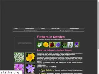 flowersinsweden.com