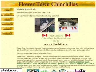 flowertownchinchillas.ca