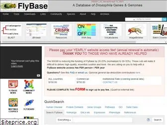 flybase.net