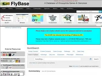 flybase.org