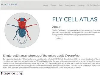 flycellatlas.org