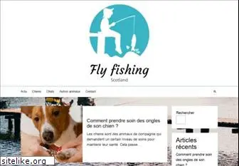 flyfishing-scotland.net