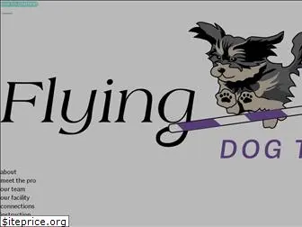 flyingfeetagility.com