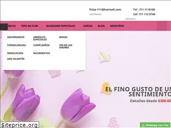 fniza.com.mx