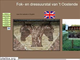 fok-endressuurstalvantoostende.nl