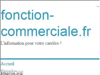 fonction-commerciale.fr