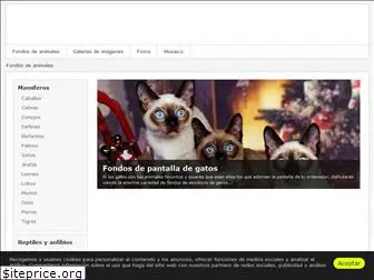 fondosanimales.com