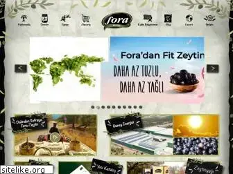 forazeytin.com.tr