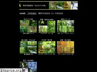 forest17.com