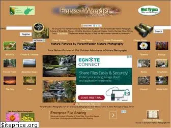 forestwander.com
