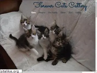 forevercatscattery.com