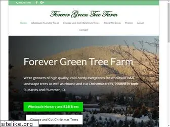 forevergreentree.com
