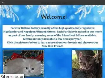 foreverkittenscattery.com