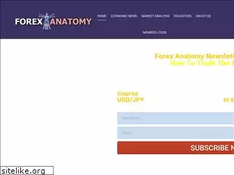 forexanatomy.com
