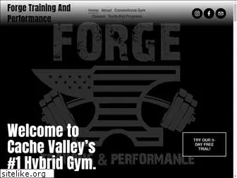 forgefitnesspros.com