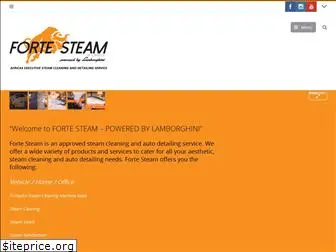 fortesteam.com