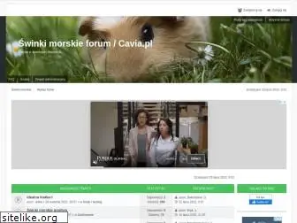 forum.cavia.pl