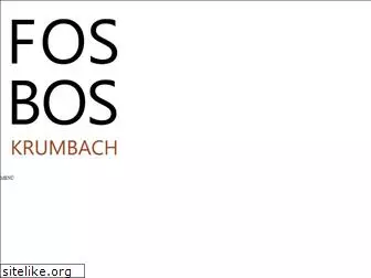 fosbos-krumbach.de