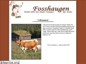 fosshaugen.no