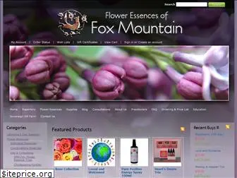 foxmountain.net