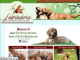 foxredlabpups.com