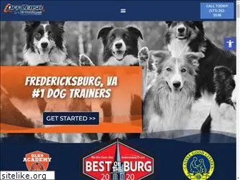 fredericksburgdogtrainers.com