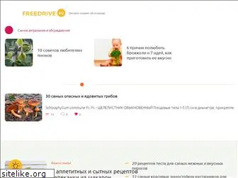 freedrive.ru