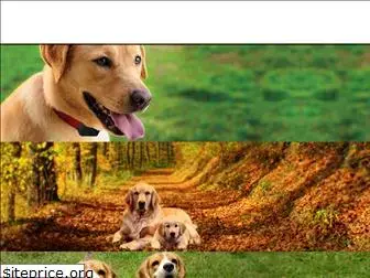 freerangedogfence.com