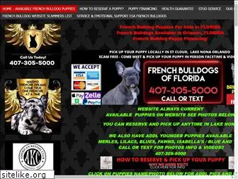 frenchbulldogsofflorida.com