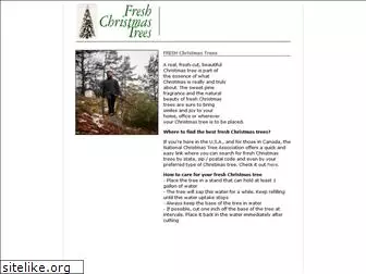 freshchristmastrees.com