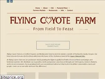 fromfieldtofeast.com