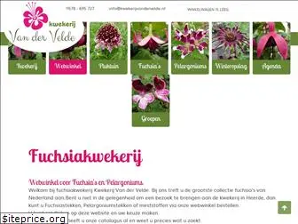 fuchsiakwekerij.nl