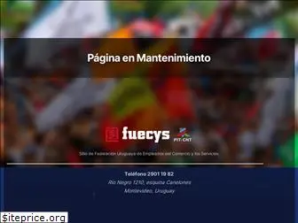 fuecys.org