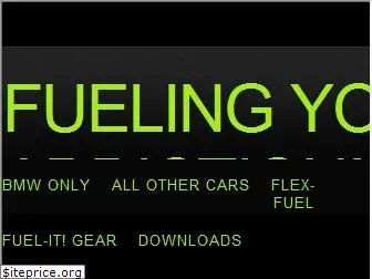 fuel-it.biz