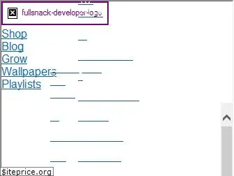 fullsnackdeveloper.com thumbnail